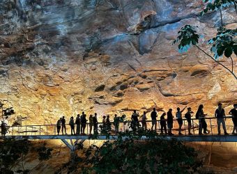 Liderar uma Transformação de Sucesso: aprendizagens da Serra da Capivara